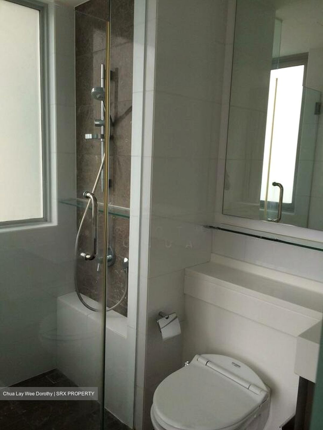 One Amber (D15), Condominium #495881411